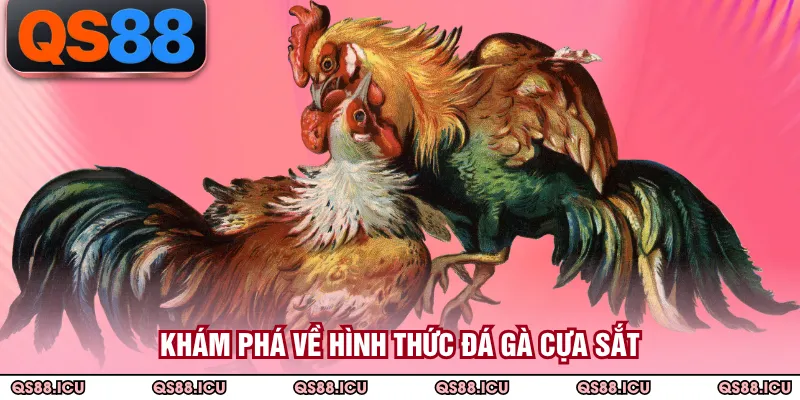 Khám phá về hình thức đá gà cựa sắt